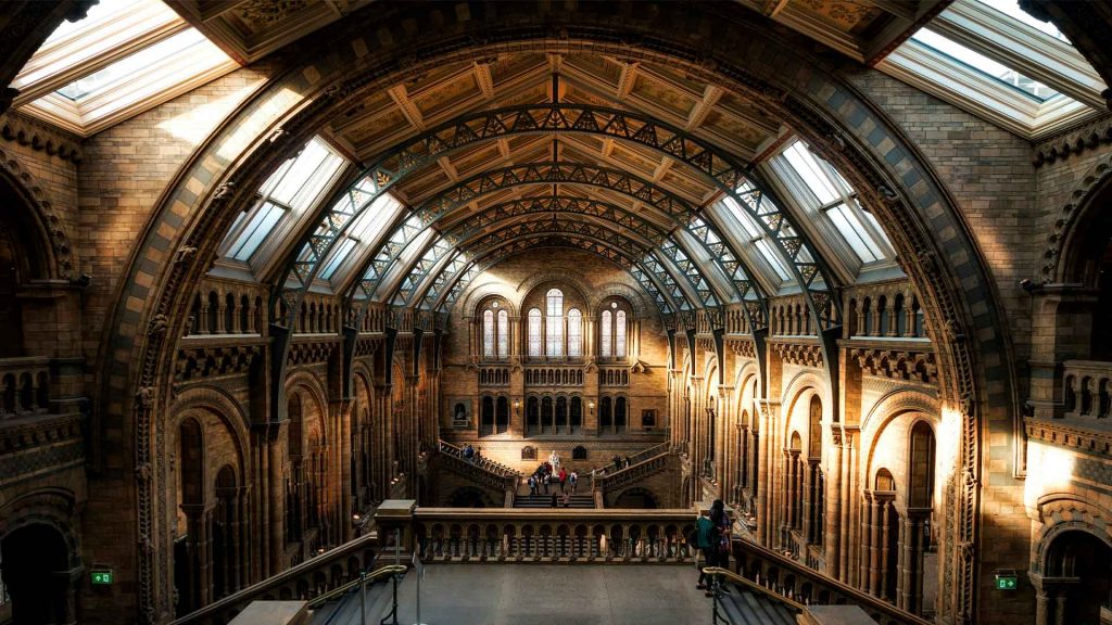 Razão e emoção em O Retrato de Dorian Gray