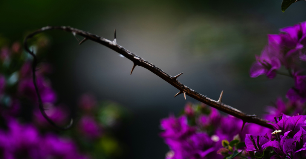 Inspirado em Dostoiévski, o artigo de Dante Gallian na ISTOÉ explora a batalha interna entre o Bem e o Mal, especialmente no contexto da violência contra crianças.